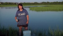 Measuring Oxygen and Salinity in Folgers Marsh: Closer to Ocean Water