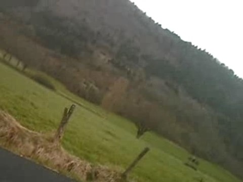 derbi pro race du 43