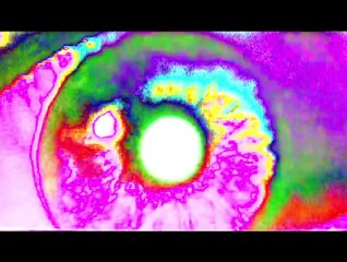 REPTILIAN TYPE ALIEN FOUND ALIVE IN THE BALTIC SEA!