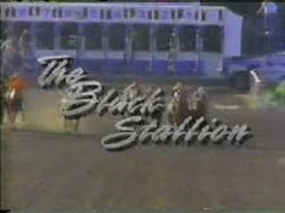 Générique de l'Etalon noir