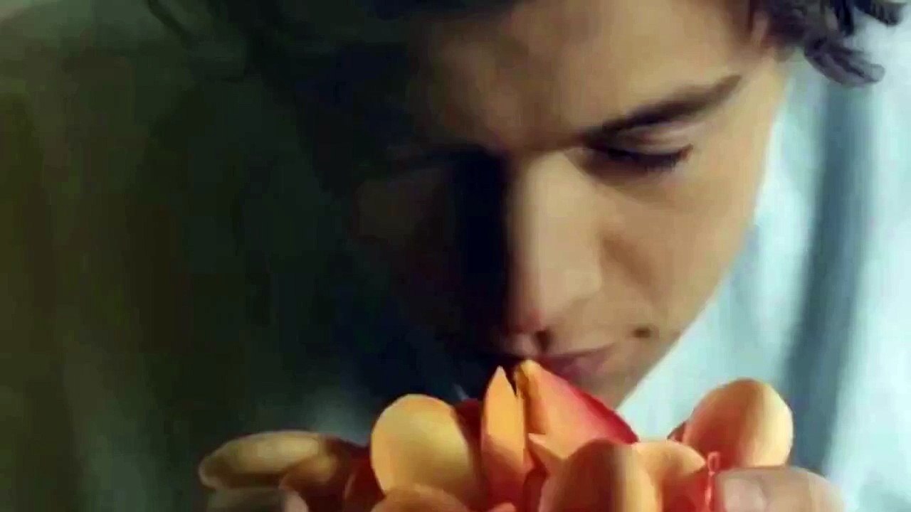 Harry Styles || Mira mis ojos.
