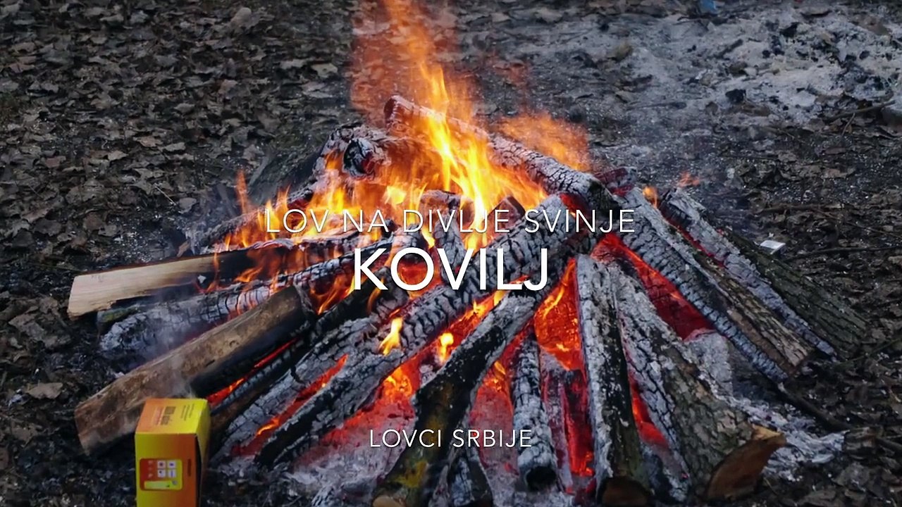 Lov na divlje svinje Kovilj 2013