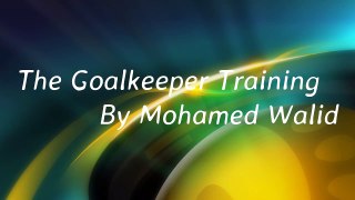 Best Goalkeeper Saves