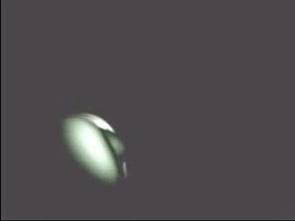 Captive gray alien_HQ video