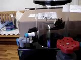 AquaC EV 240 Protein Skimmer Unboxing