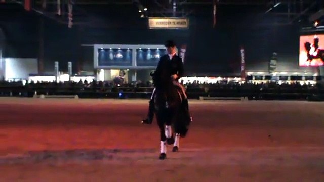 Annichje fan Bokkum 'paard van het jaar 2011'