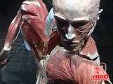 Napoli - Body Worlds, la mostra shock sul corpo umano 1 (12.04.12)