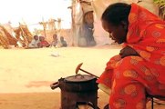 The Darfur Fuel-Efficient Stoves Project