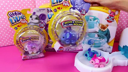 Скачать видео: Little Live Pets Lil' Mouse House Trail Track Set Tubes ❤ Baby Mice Moose Toys Review DisneyCarToys