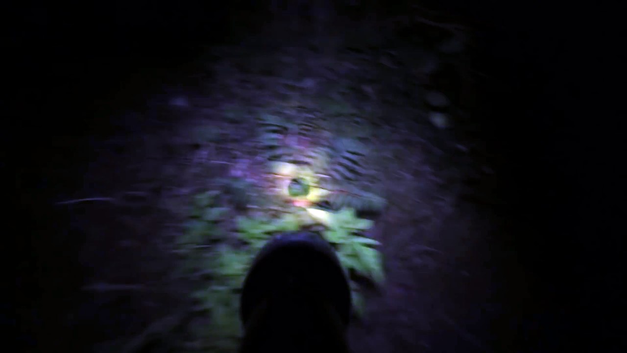 Nippon Ichi Software New Title