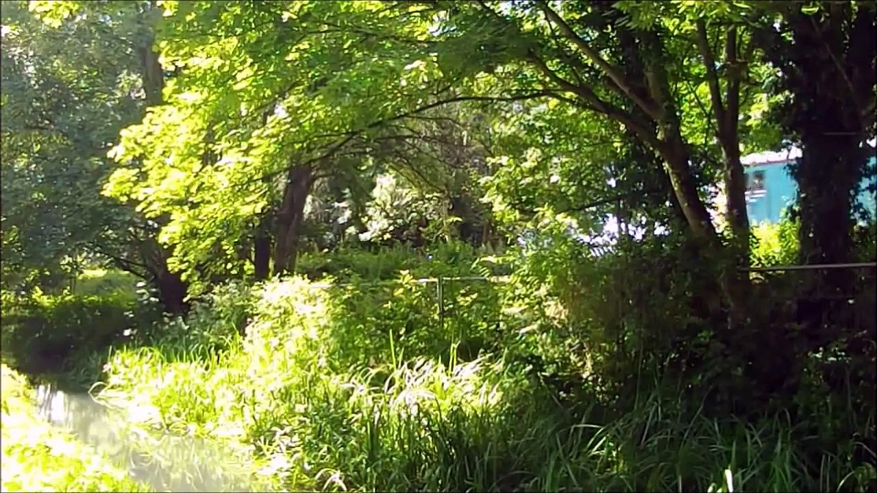Feels Like Summer (Dean Forest Railway)