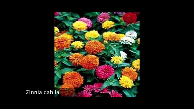 Semailles citoyennes à Blennes