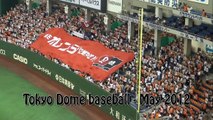 Tokyo Dome baseball - May 2012
