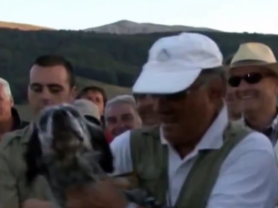 ADEMARO SCIPIONI
