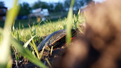 Starting Of Summer "Film Shots" ☺