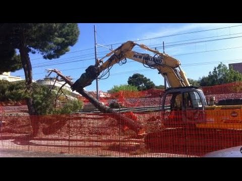 Strage di pini al cantiere di via Rimini, continuano i lavori del Trc di Riccione