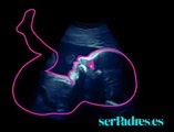 Semanas 25-28: El bebé en el vientre materno