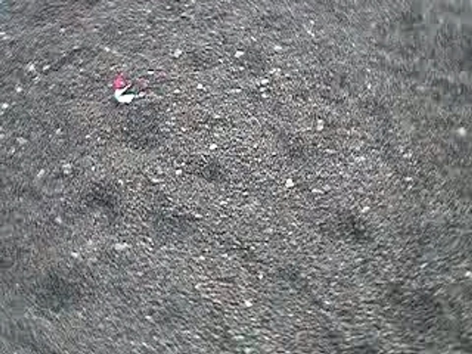 Teuf dans l'aube  " 31 03 2007 "