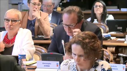 Christophe AVENA. Aménagement numérique et THD. Session du 19 juin 2015