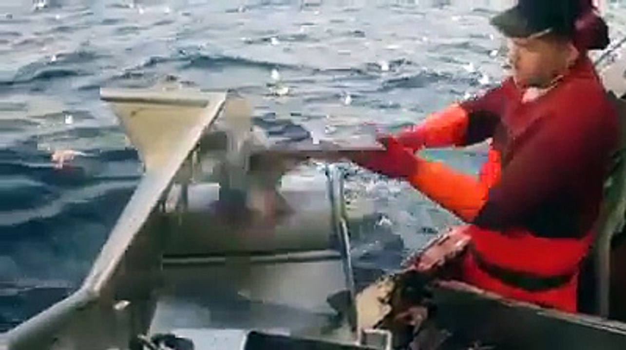 Fish are food, and this is a safe means to catch them!