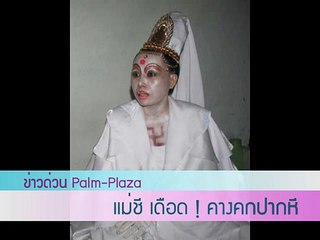 Palm-Plaza News - "แม่ชี" เดือด ! คางคกปากหี !
