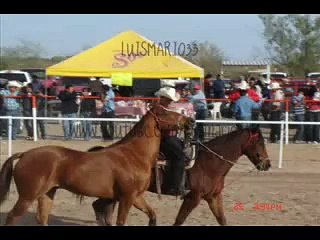 Carreras de Caballos en Caborca