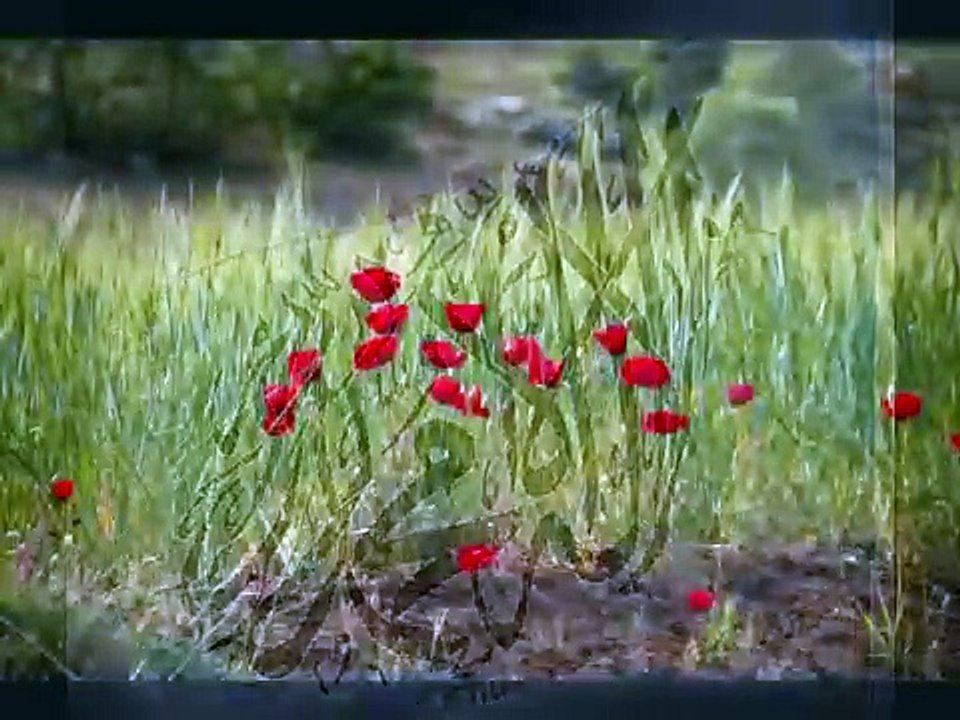 الارض لنا والقدس لنا