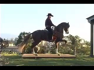 YEGUADA TRUJILLO CABALLOS BAILADORES GAVILAN