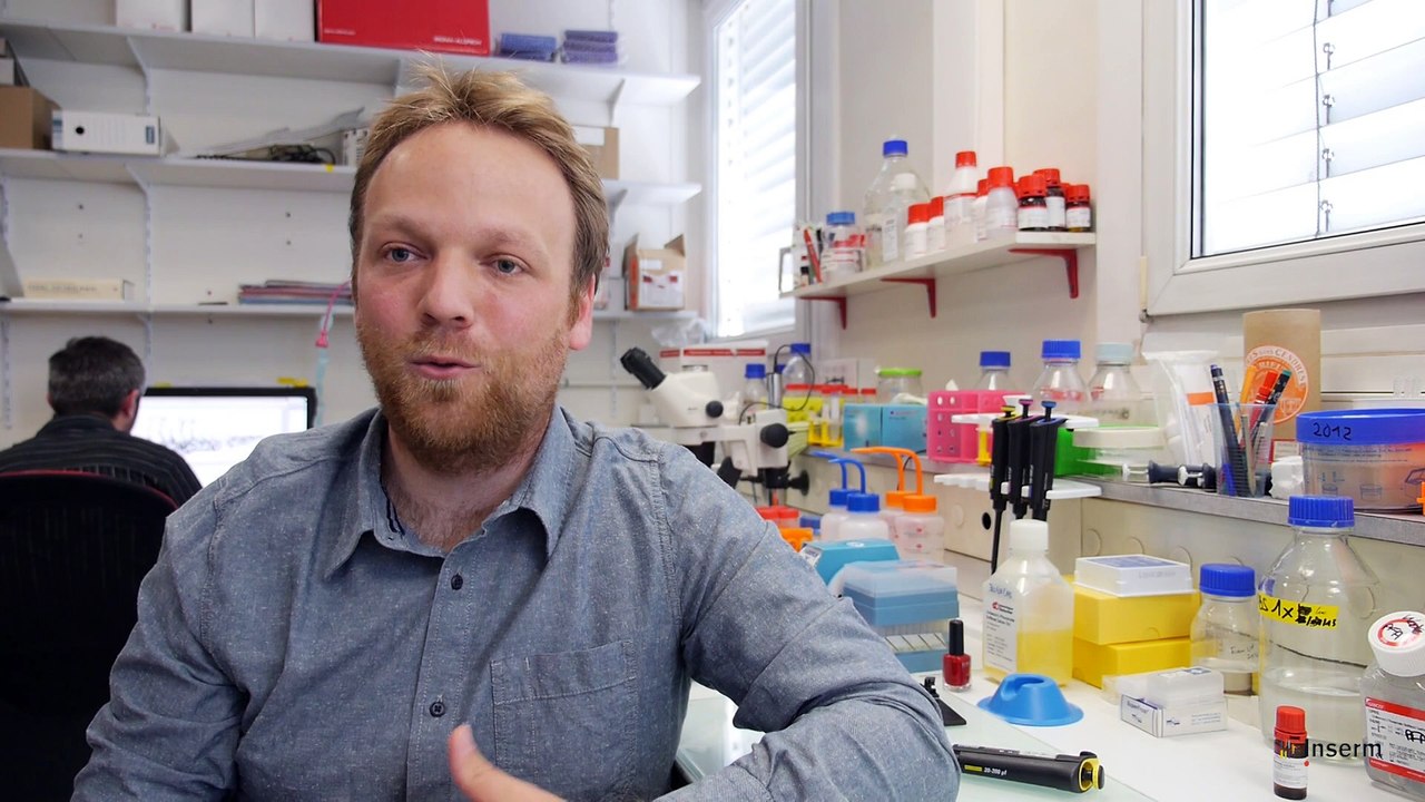 Tubes à essais, confidences de chercheurs