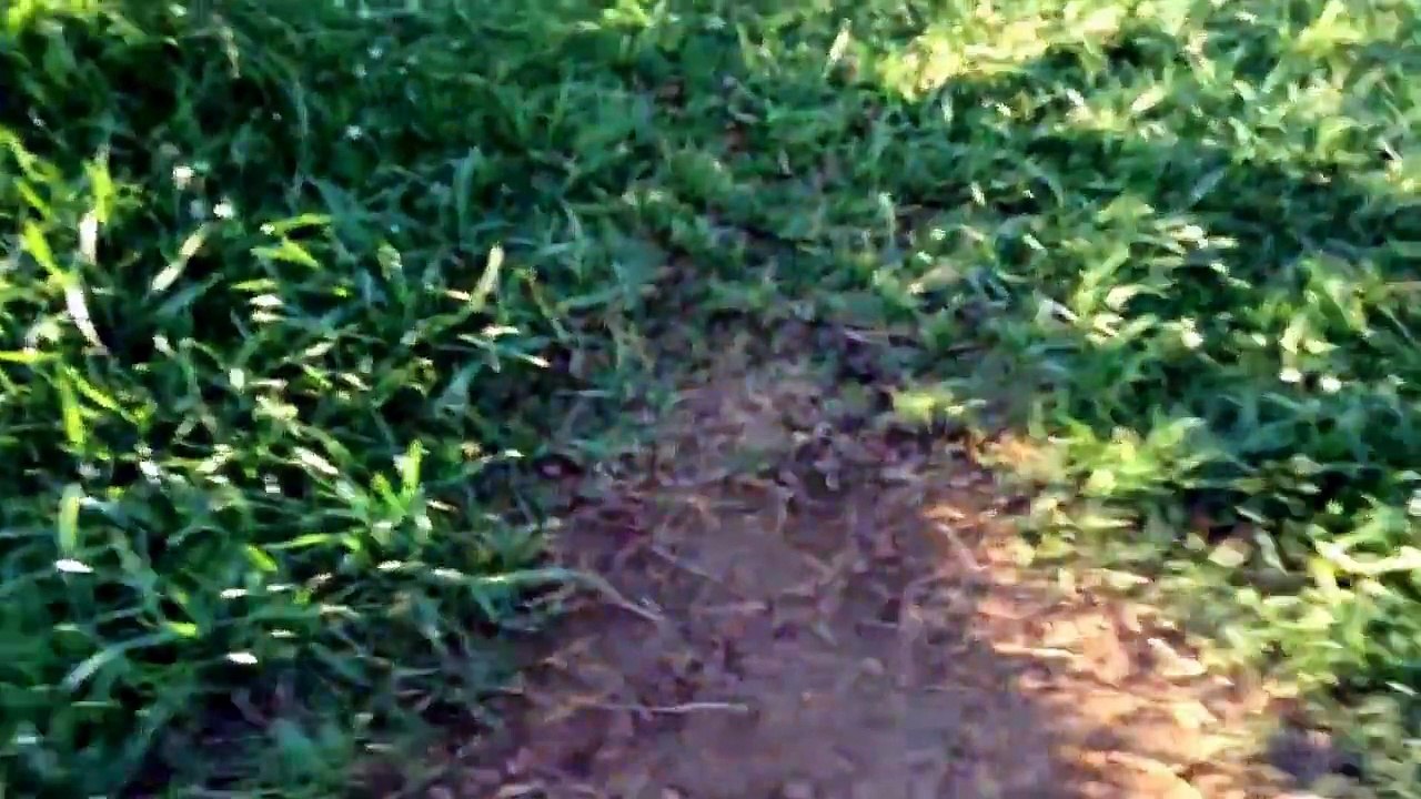 [VLOG/JUST-4-FUN] some cool things