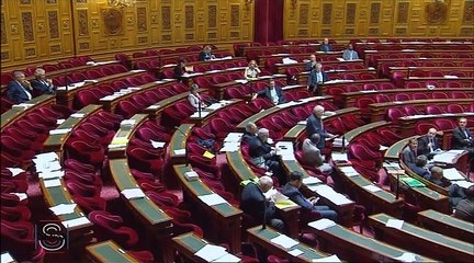 PJL portant nouvelle organisation territoriale de la République 7