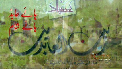 S Haider Mehdi _ Kaho Haye Haye Abid 2013-2014