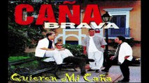 Caña Brava Mix Merengue 90s - Dj Agenor