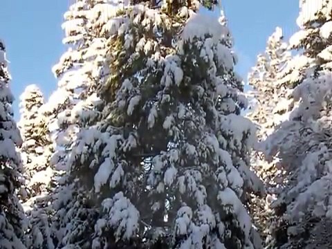 Queen - Thank God It's Christmas