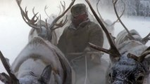 Winter Travel: Reindeer Sledding w/ Siberian nomads in Oymyakon, Yakutia, Siberia / Russia