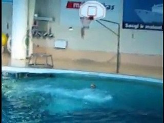 Dolphins playing basketball