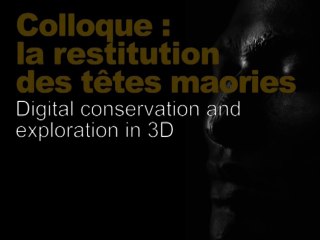 Digital conservation and exploration 3D... (Restitution des têtes maories / scientifique 6/8)