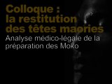 Analyse médico-légale de la préparation des Moko (Restitution des têtes maories / scientifique 7/8)