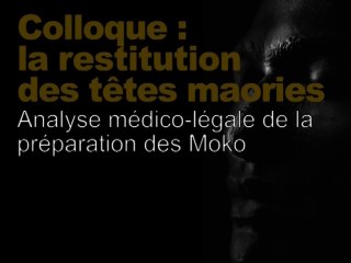 Analyse médico-légale de la préparation des Moko (Restitution des têtes maories / scientifique 7/8)