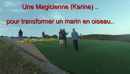 un poisson devint oiseau