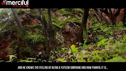 A Tree In Paradise - True Story - Merciful Servant Videos -