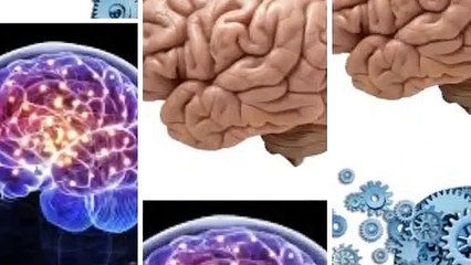 It is the most popular and leading cognitive enhancer