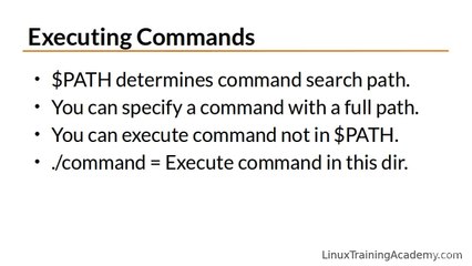 5_-_Managing_Directrories_at_the_Command_Line