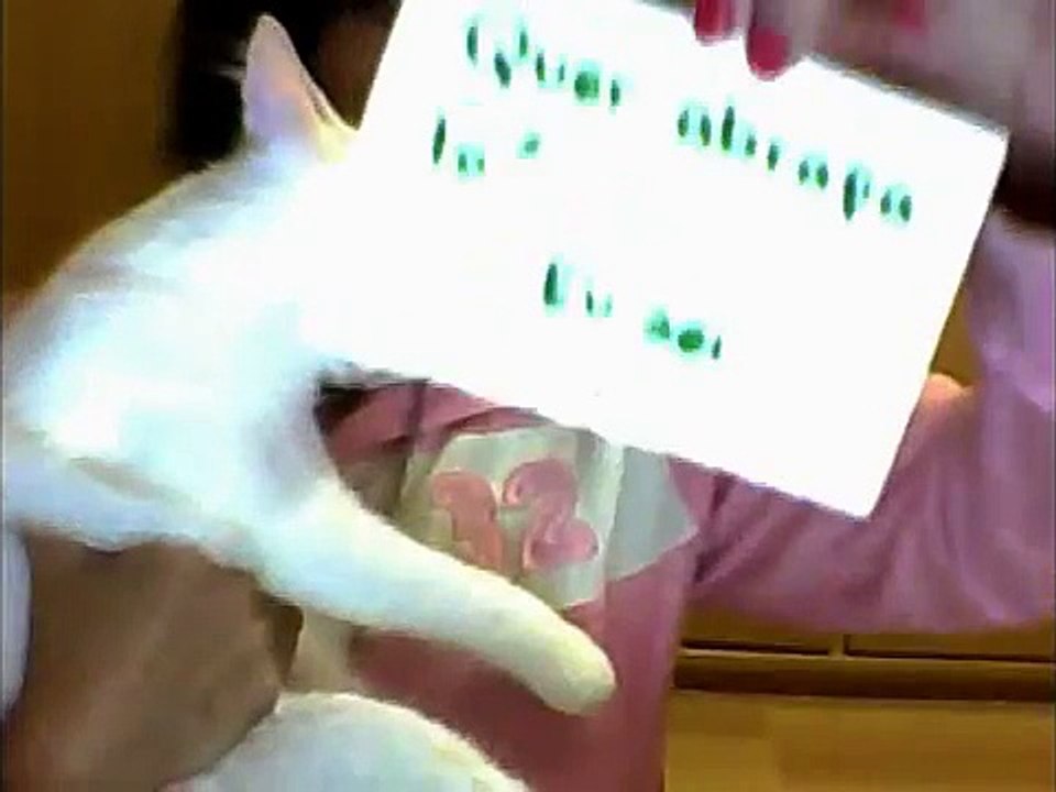 Uma pequena mensagem (: