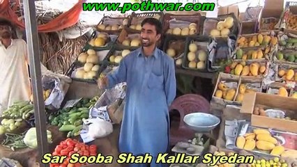 Sar Sooba Shah