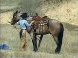 SOLD~  BXL Leo Gordo, 2004 AQHA Bay Roan gelding.