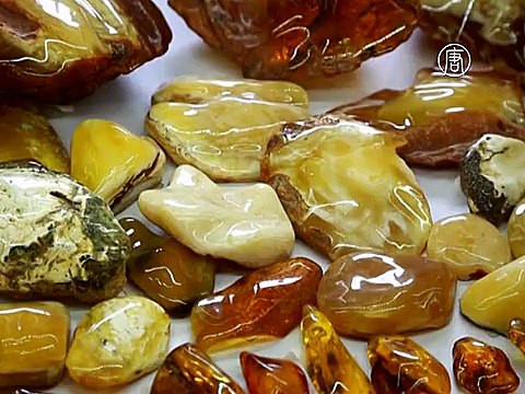 «Чёрные копатели» янтаря губят окружающую среду в России