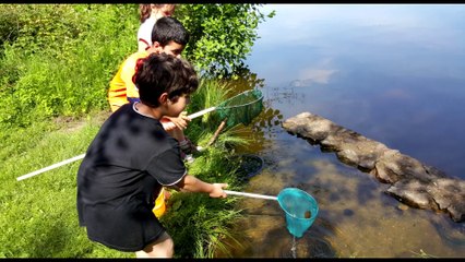 Sortie Pêche du 20 juin 2015