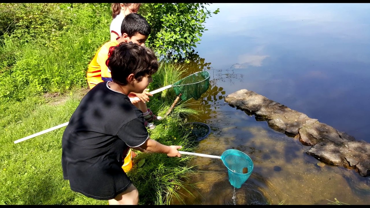 Sortie Pêche du 20 juin 2015