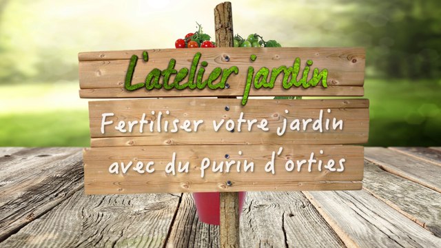 Comment faire un purin d'orties pour fertiliser son jardin ?